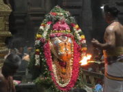 கரூர் கல்யாண பசுபதீஸ்வரர் ஆலயத்தில் ஆனி மாத தேய்பிறை பிரதோஷ விழா நந்தி பகவானுக்கு அபிஷேகம்