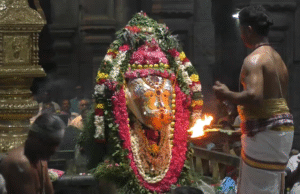 கரூர் கல்யாண பசுபதீஸ்வரர் ஆலயத்தில் ஆனி மாத தேய்பிறை பிரதோஷ விழா நந்தி பகவானுக்கு அபிஷேகம்