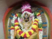 கரூர் கற்பக விநாயகர் ஆலய வாராகி அம்மனுக்கு ஆஷாடன நவராத்திரியை முன்னிட்டு 2 நாள் அலங்காரம்