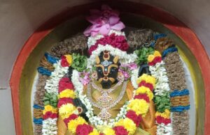 கரூர் கற்பக விநாயகர் ஆலய வாராகி அம்மனுக்கு ஆஷாடன நவராத்திரியை முன்னிட்டு 2 நாள் அலங்காரம்