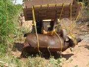 கரூர் மாநகராட்சி ராயனூர் அருகே மர்மமான முறையில் காட்டெருமை உயிரிழப்பு