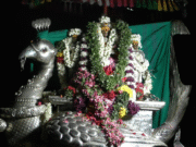 கரூர் கல்யாண பசுபதீஸ்வரர் ஆலய ஆறுமுக சுவாமி வெள்ளி மயில் வாகன திருவீதி உலா