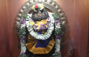 ஸ்ரீ விஸ்வகர்மா சித்தி விநாயகர் ஆலயத்தில் கார்த்திகை மாத அபிஷேகம்