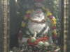 ஸ்ரீ காசி விஸ்வநாதர் சுவாமி ஆலயத்தில் அன்னாபிஷேகம்