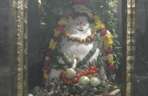 ஸ்ரீ காசி விஸ்வநாதர் சுவாமி ஆலயத்தில் அன்னாபிஷேகம்